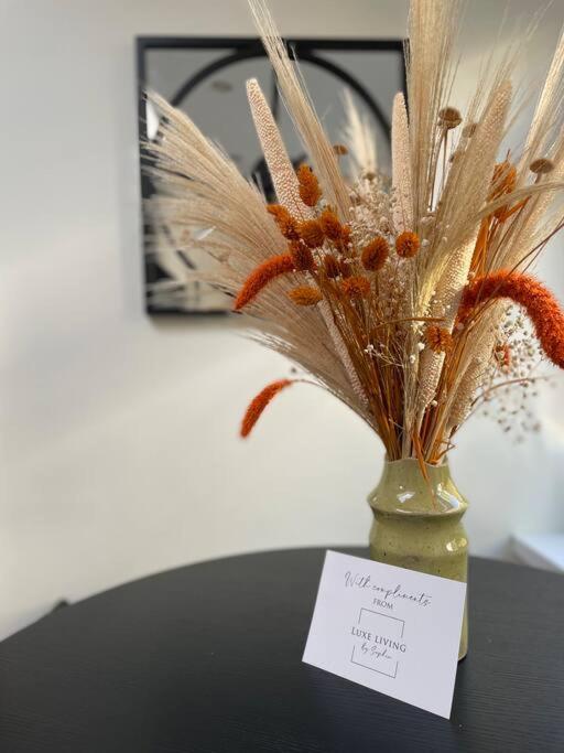 New Luxury For 2024 - Central Plymouth House - Sleeps 10 - Access To Plymouth Town - Close To The Barbican - Pets Welcome - Parking Available - By Luxe Living By Sophia Kültér fotó